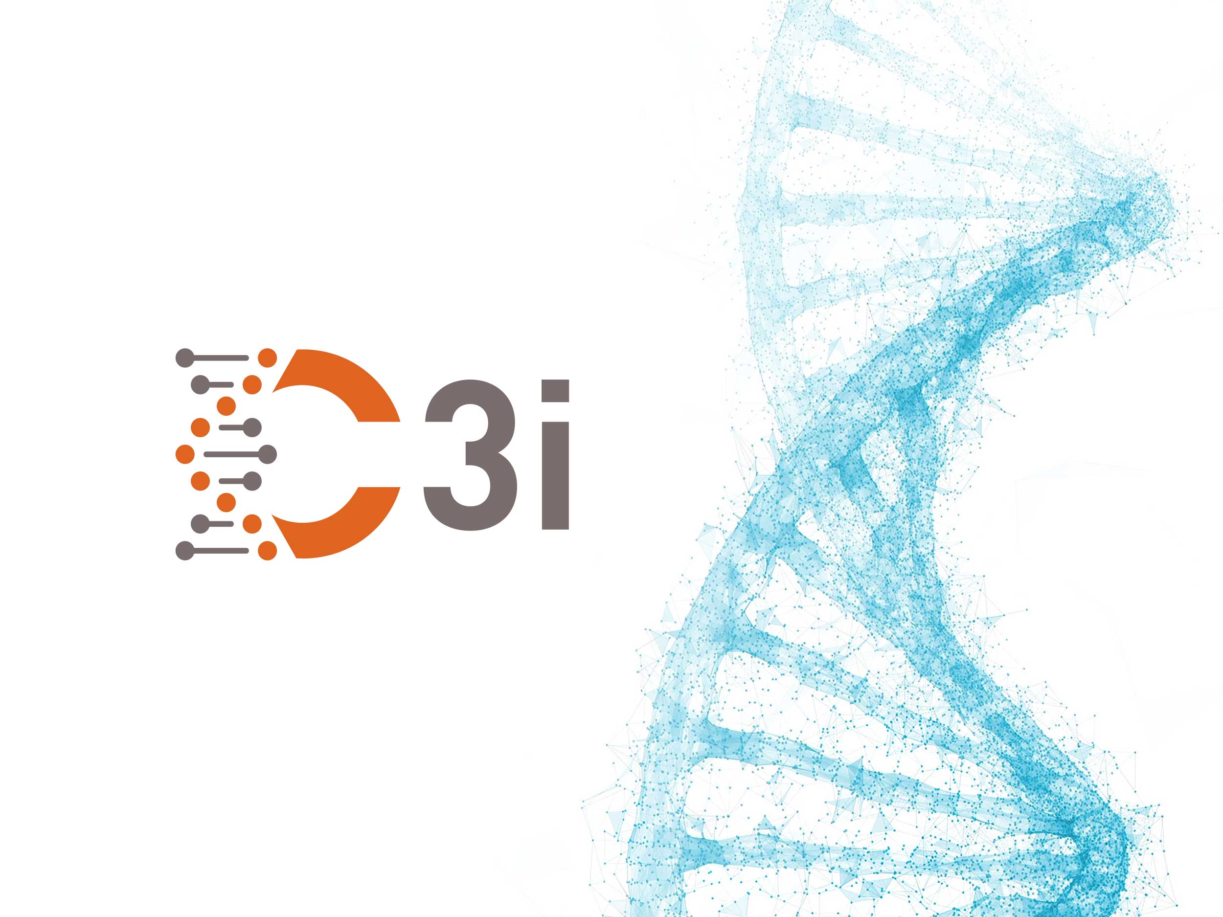 C3i – Logo