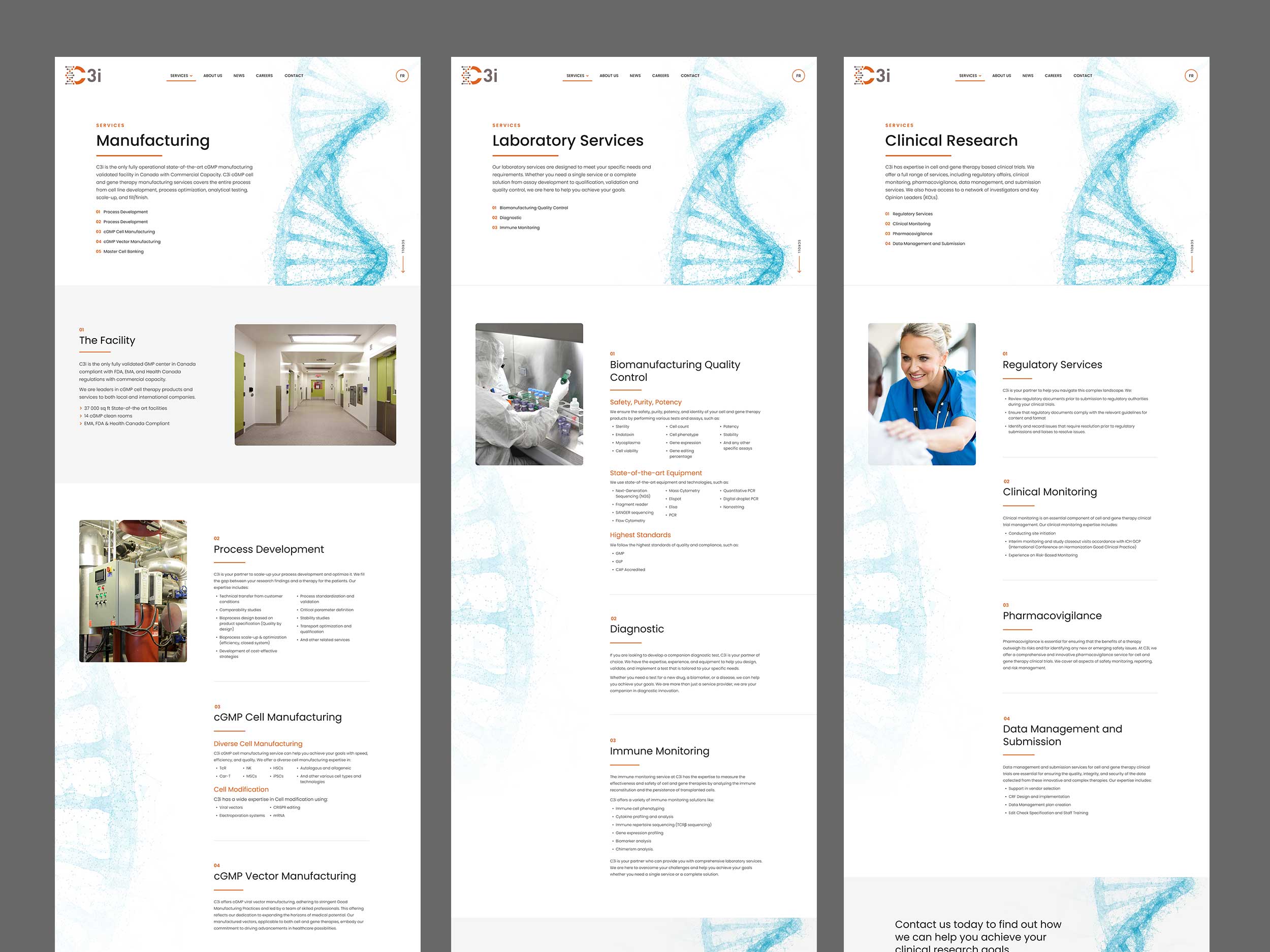 C3i – Website – Grid 02