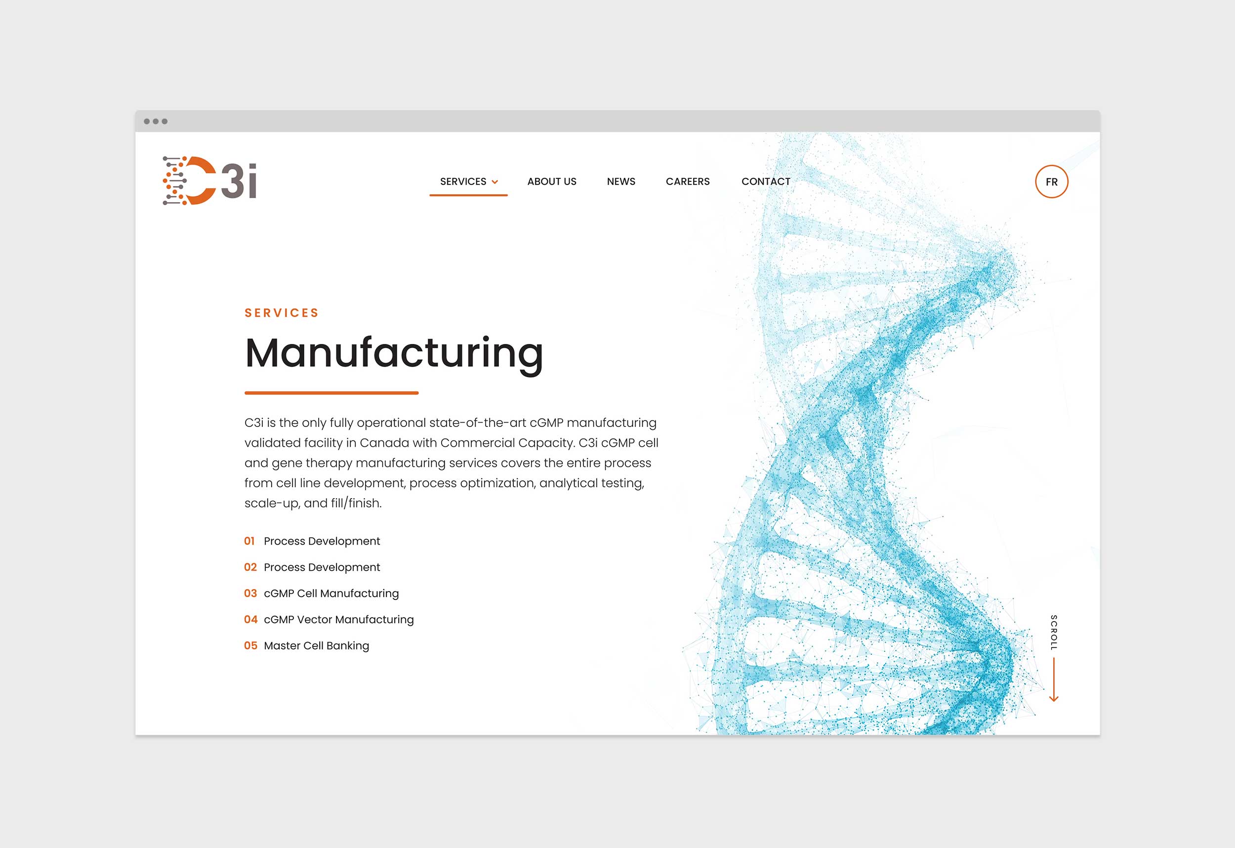 C3i – Website – Services 01