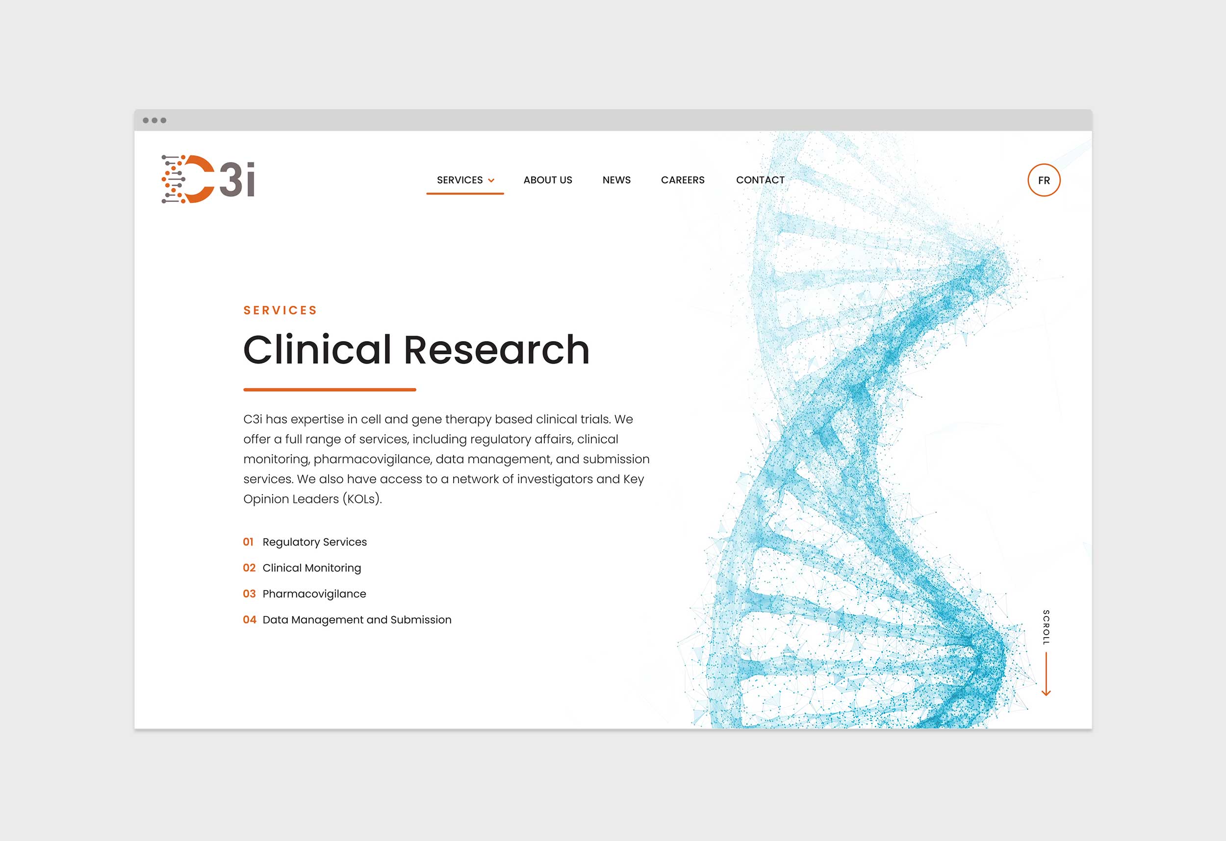 C3i – Website – Services 02