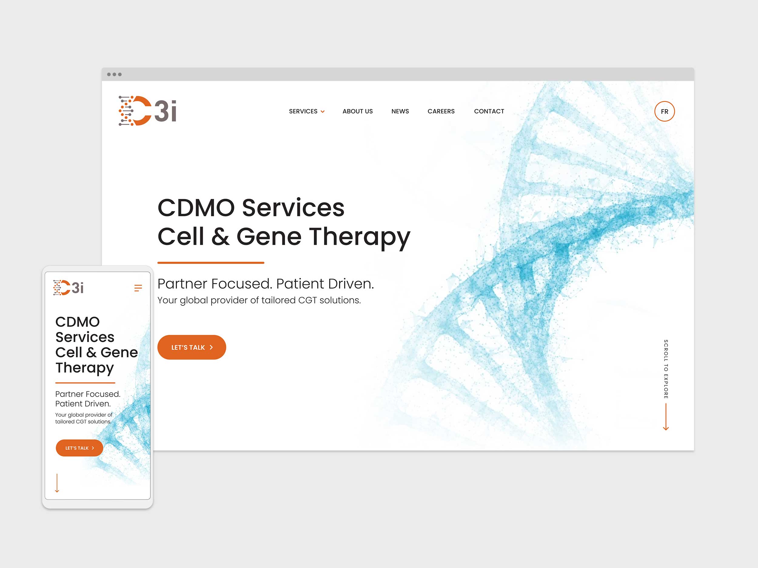 C3i – Website